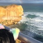 Private Great Ocean Road Local Experience - What Makes This Tour Stand Out