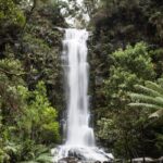 Private Great Ocean Road - The Ultimate Aussie Adventure - Who Will Love This Tour?