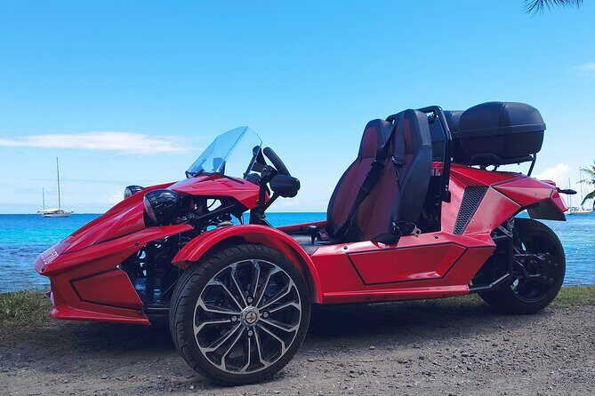 Private Guided Tour around the Moorea Island - Value and Practical Tips