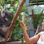 Private Guided Tour: Blue Mountains Tour from Sydney - Who Would Love This Tour?