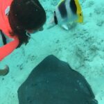 PRIVATE HALF DAY LAGOON TOUR - Bora Bora Cultural Lagoon Tour - Why This Tour Stands Out