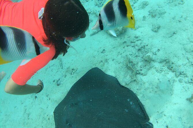 PRIVATE HALF DAY LAGOON TOUR - Bora Bora Cultural Lagoon Tour - Why This Tour Stands Out