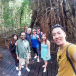 Private Half Day Tour: World Heritage Rainforest & Waterfall - What’s Included and What You’ll Appreciate