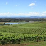 Private Hunter Valley Wine-Tasting Day Tour from Sydney - Practical Tips for Your Hunter Valley Day Trip