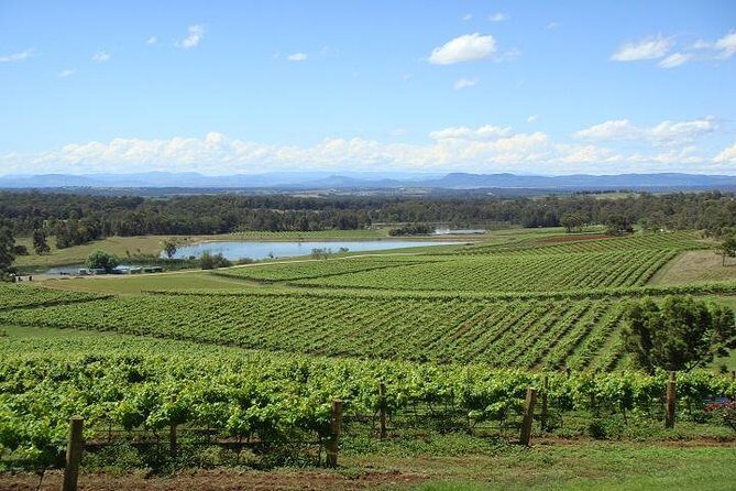 Private Hunter Valley Wine-Tasting Day Tour from Sydney - Practical Tips for Your Hunter Valley Day Trip