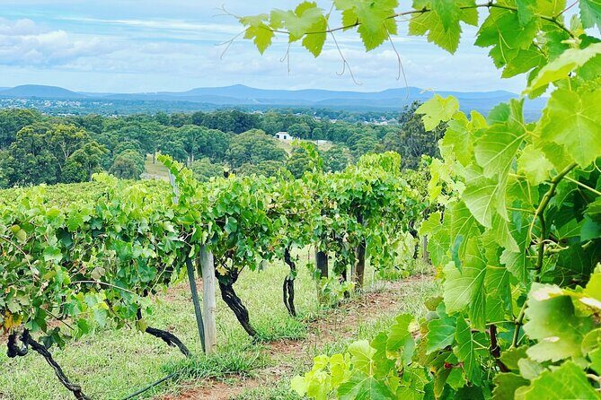 Private Hunter Valley Wine Tasting Tour from Sydney - The Value Proposition