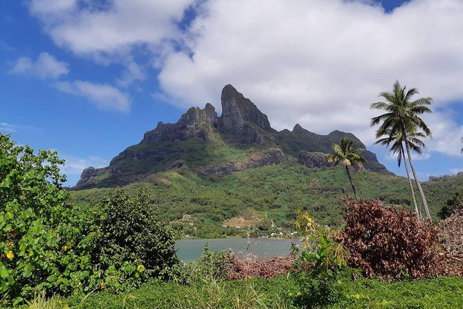 Private Island Tour by ATV / QUAD - Practical Considerations and Value