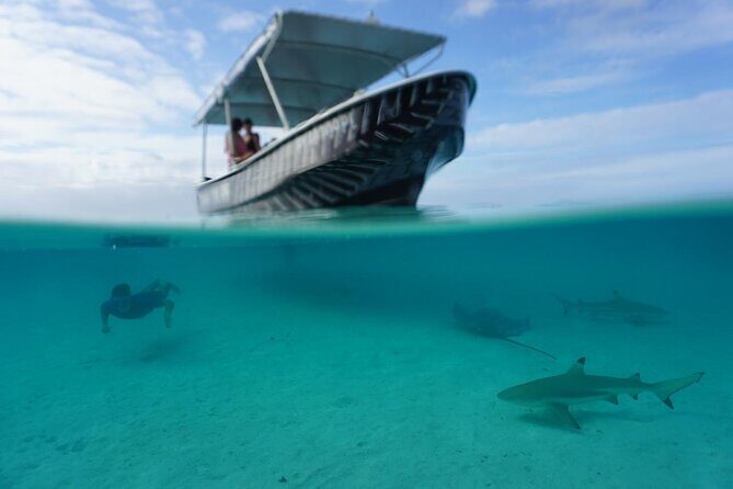 Private Lagoon Exploration and Snorkeling in Moorea - Frequently Asked Questions