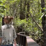 Private Luxury Cape Tribulation Adventure and Crocodile Cruise - Who It’s Best For