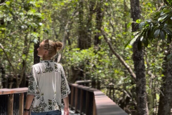 Private Luxury Cape Tribulation Adventure and Crocodile Cruise - Who It’s Best For