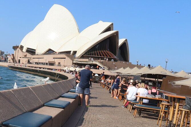 Private Luxury Half Day Sydney City Tour - What’s Included and What’s Not