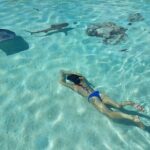 Private Marine Excursion and snorkeling in the lagoon of Moorea - What the Tour Includes