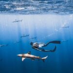 Private Marine Wildlife Adventure with Underwater Photography - Why This Tour Offers Great Value