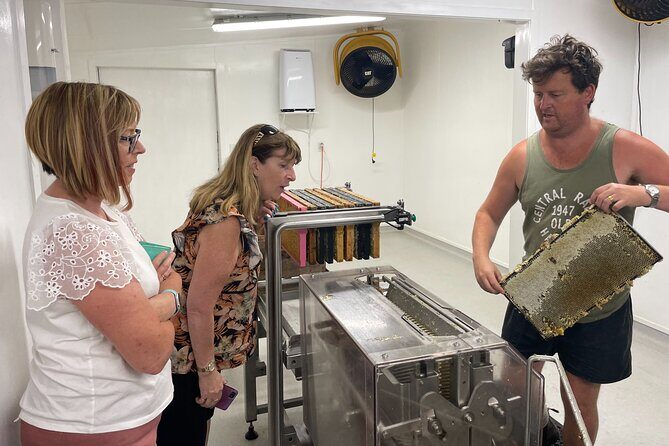 Private Martinborough Foodie Delights Tour from Wellington - How the Logistics Support Your Experience