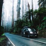 Private Mornington Peninsula Hike and Hot Springs Tour - Why This Tour Works