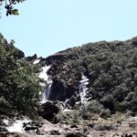 Private One Day Tour through The Deep South - An In-Depth Look at the Itinerary