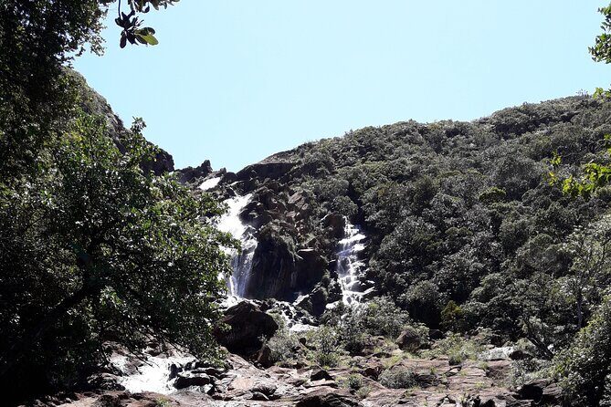 Private One Day Tour through The Deep South - An In-Depth Look at the Itinerary