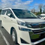 Private Piha Beach, Rainforest Adventure & Mt. Eden with Guide - Key Highlights of the Tour