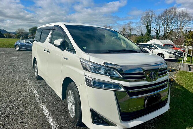 Private Piha Beach, Rainforest Adventure & Mt. Eden with Guide - Key Highlights of the Tour