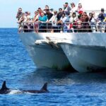 Private Port Stephens Day Trip from Sydney incl Dolphin Cruise - Who Is This Tour Best For?