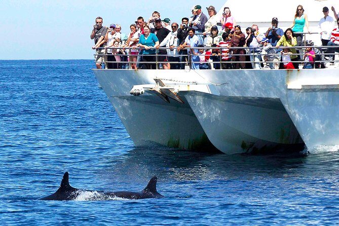 Private Port Stephens Day Trip from Sydney incl Dolphin Cruise - Who Is This Tour Best For?