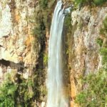 Private Rainforest & Wildlife Tour - Build Your Own Experience - Highlights of Each Stop