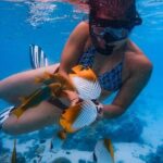 Private Rarotonga Turtle Tour - The Itinerary and What You Can Expect