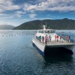 Private Shore Excursion: Explore Marlborough from Picton - What’s Included and What’s Not
