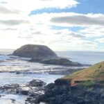 Private Small Group Tour of 2-7pax in Great Ocean Road Melbourne - Who Should Consider This Tour?