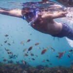 Private Snorkeling Tour In Sydney's Marine Reserve - Equipment and Safety