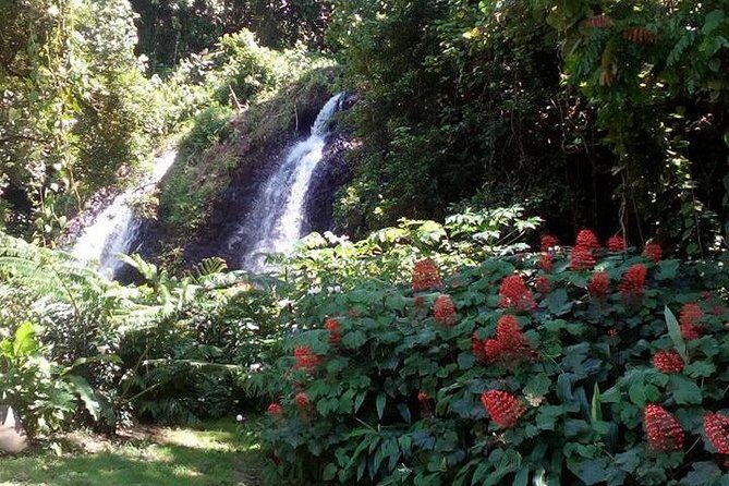 private Tahiti island discovery - What Makes This Tour a Great Value