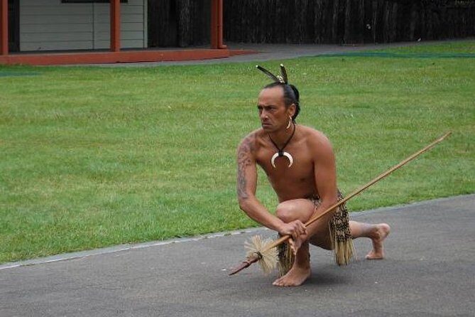 Private Tauranga Day Trip - Te Puia Geysers. A Volcanic Landscape - The Practicalities