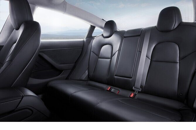 Private Tesla Transfer: Auckland, Tauranga, Rotorua, Taupo - The Sum Up