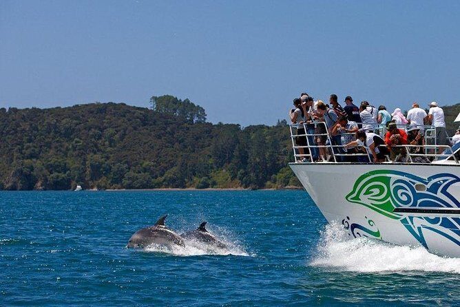 Private Tour: Bay of Islands Day Trip from Auckland - FAQs