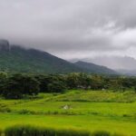 Private Tour: Best of Nadi Highlights - Deep Dive into the Itinerary