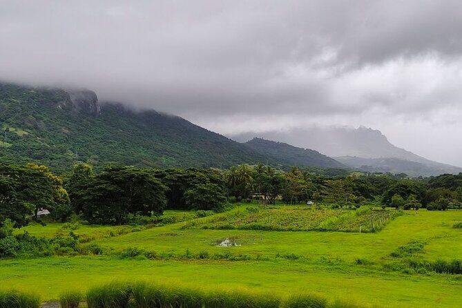 Private Tour: Best of Nadi Highlights - Deep Dive into the Itinerary