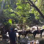 Private Tour Biausevu Waterfall and Fijian Village Experience - What’s Included and What’s Not