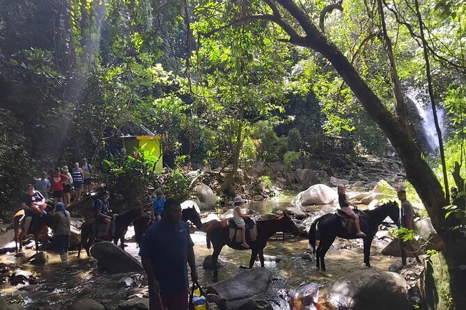 Private Tour Biausevu Waterfall and Fijian Village Experience - What’s Included and What’s Not