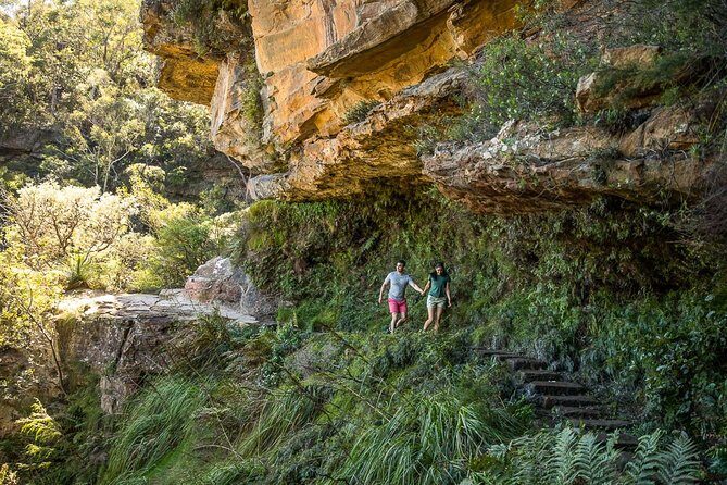 Private Tour: Blue Mountains Hiking & Nature - Is This Tour Right for You?