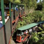 Private Tour - Coromandel Beach, Caves & Forest - Who Will Love This Tour?