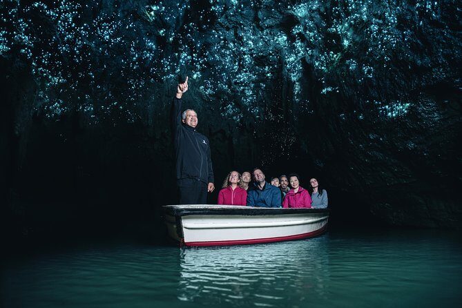 Private tour from Auckland - Waitomo Glowworm Caves, Zealong Tea & Kiwi Bird - Authentic Insights from Travelers