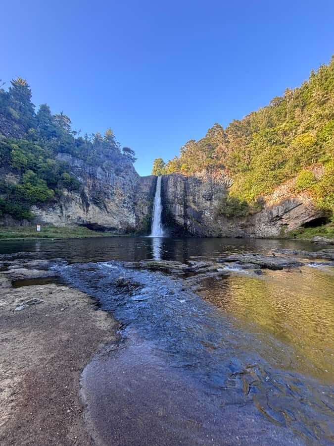 Private Tour: Hunua Falls, Blue Springs & Mclaren waterfall - Authentic Experiences and Real Feedback