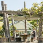 Private tour - Matakana Art & Wine Village - What’s Included and Why It Matters