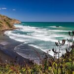 Private Tour - Muriwai Beach & Wine Tasting - Analyzing the Value
