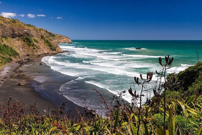 Private Tour - Muriwai Beach & Wine Tasting - Analyzing the Value