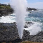 Private tour of Kiama Blowholes, Sea Cliff Bridge and Wattamolla - A Complete Guide to What Makes This Tour Special