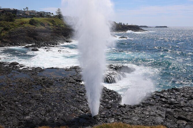 Private tour of Kiama Blowholes, Sea Cliff Bridge and Wattamolla - A Complete Guide to What Makes This Tour Special