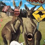 [Private Tour] Penguin Parade Phillip Island Tour. - Transportation and Comfort