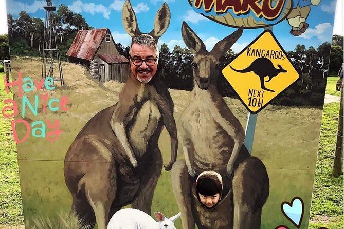 [Private Tour] Penguin Parade Phillip Island Tour. - Transportation and Comfort