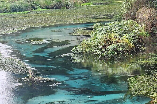 Private Tour Rotorua + Blue springs + WaiOtapu + Redwood forest - The Sum Up